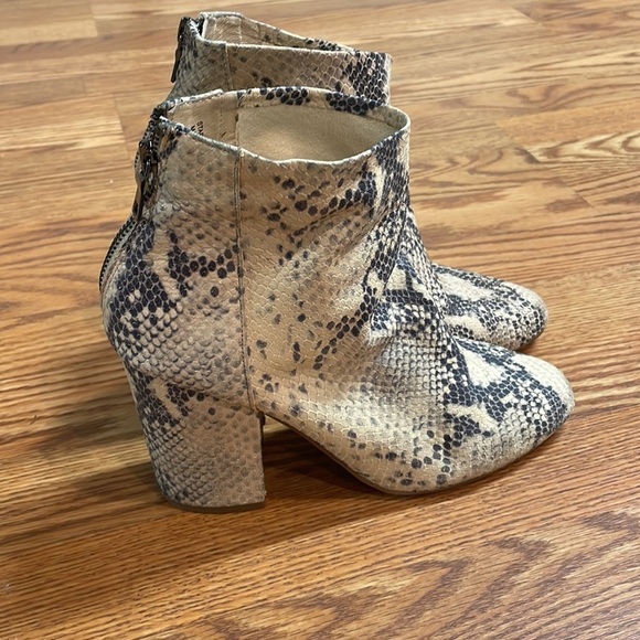 Steve Madden Star Snake Skin Bootie - Picture 4 of 9